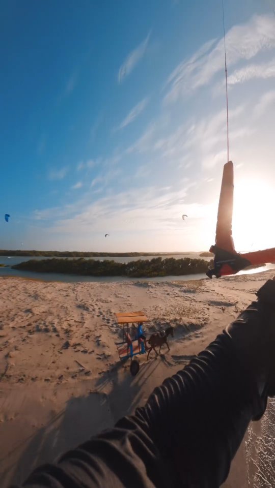 #repost @stig_hoefnagel 
__

Windy day in the mangroves🌳🦎🇧🇷🐊

It’s not often it gets this windy at this spot, session out of my dreams😏

🪁 @naishkiteboarding
🩳 @prolimithq